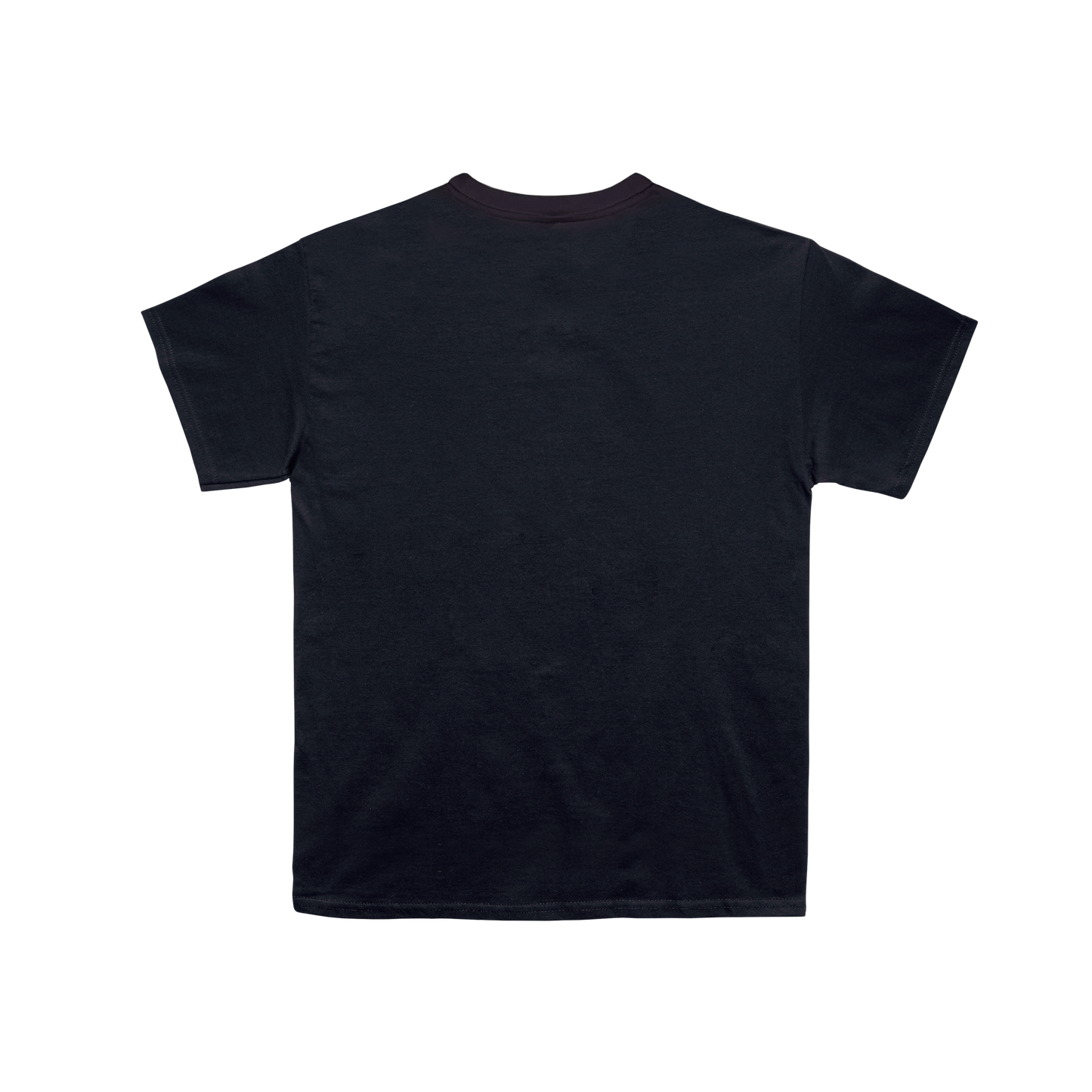 Camiseta Fotográfica Pablo Alborán