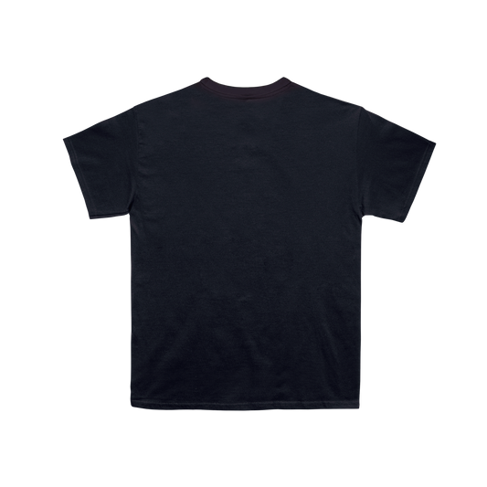 Camiseta Fotográfica Pablo Alborán